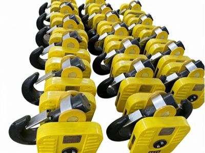 European electric hoist hook)1